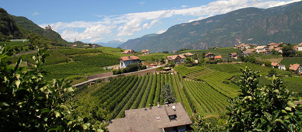 Bolzano e dintorni tra campi e vigneti