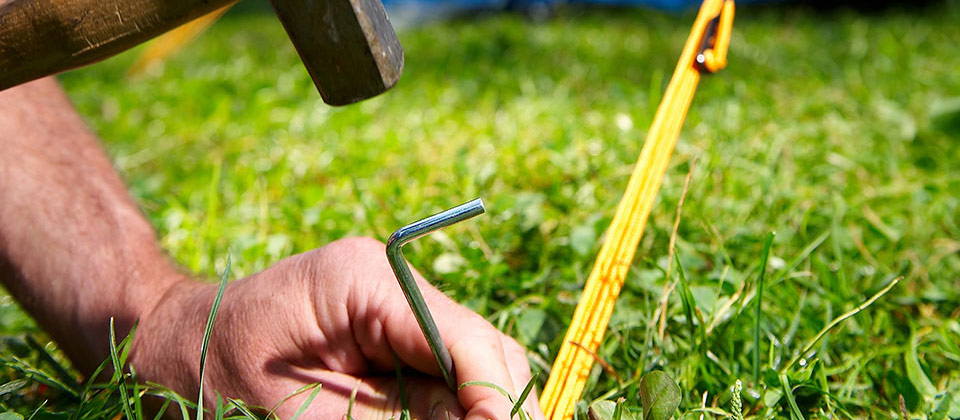Planting a stake for the tend on a rich grassfield